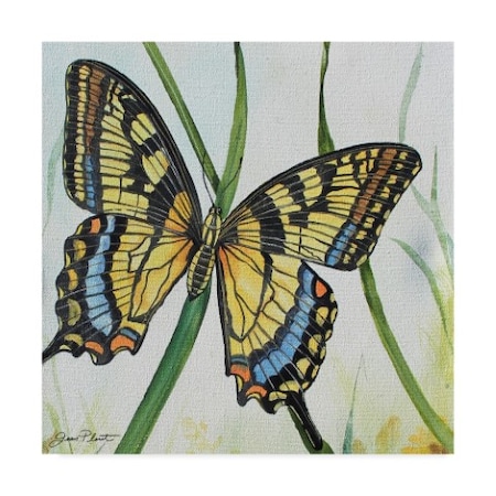 Jean Plout 'Potanical Beauties 2' Canvas Art,18x18